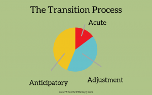the transition process