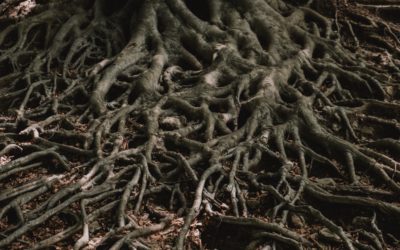 The Gnarled Roots of Depression